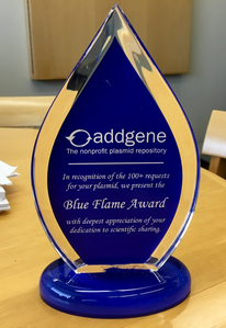 photo of blue flame desk award