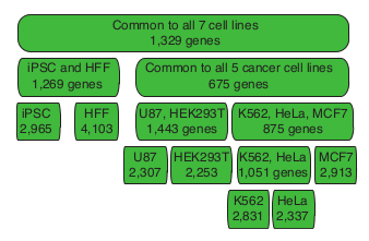 schematic of crincl sublibraries