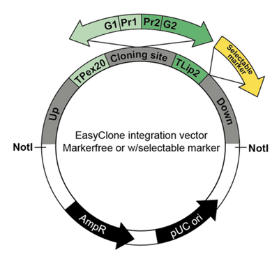 EasyClone Integration Vector