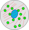 fluorescent proteins cell icon