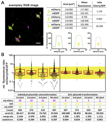 2in1 co-expression ratios