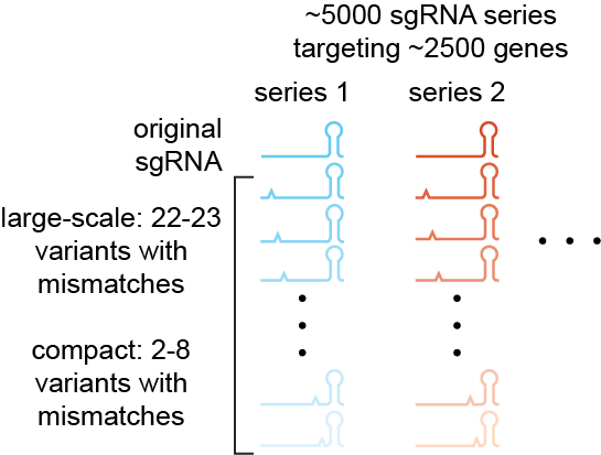 Weissman Lab Mismatched sgRNA Titration Libraries