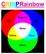 CRISPR Rainbow color diagram