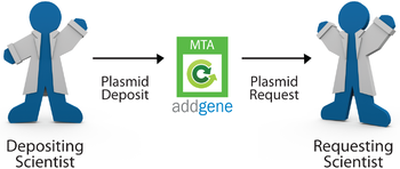 MTA cycle